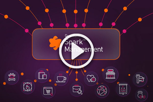 quantum spark video